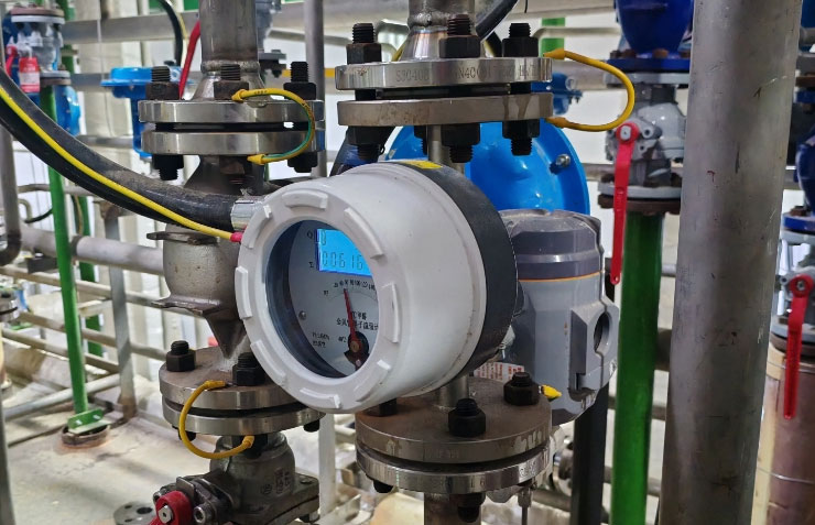 Digital Rotameters with 4-20mA 